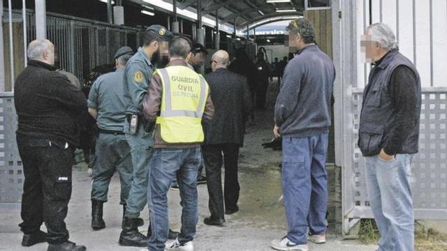 Restos arqueológicos de Pollentia con suelo mojado por la lluvia